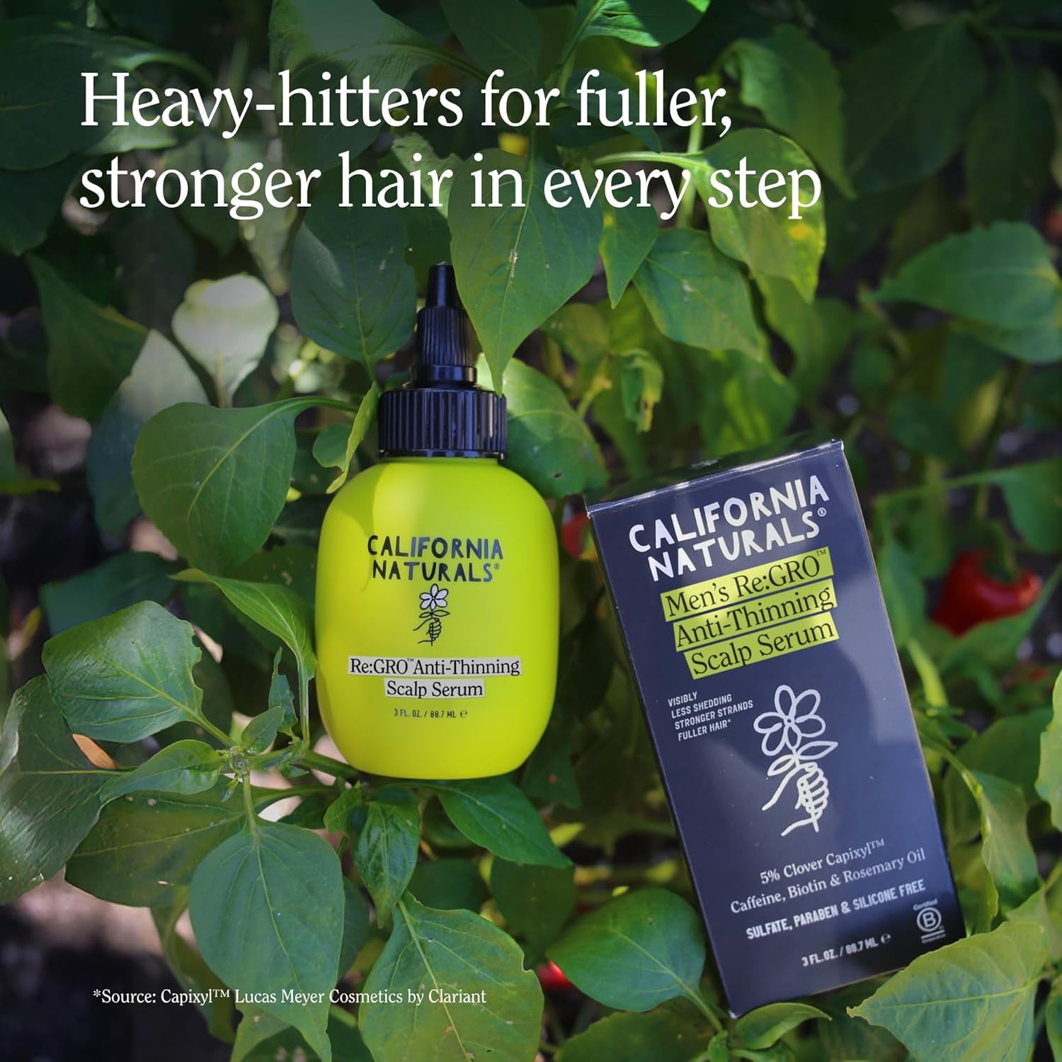 California Naturals Re:Gro Men's Scalp Serum – 5% Capixyl, Biotin & Rosemary Oil for Thicker Hair | 90ml