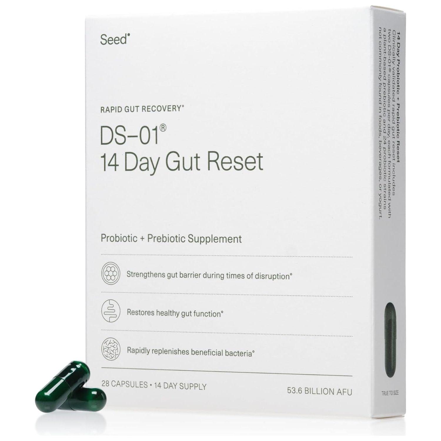 Seed DS-01® 14-Day Gut Reset – 28 Capsules | Rapid Gut Relief & Microbiome Support