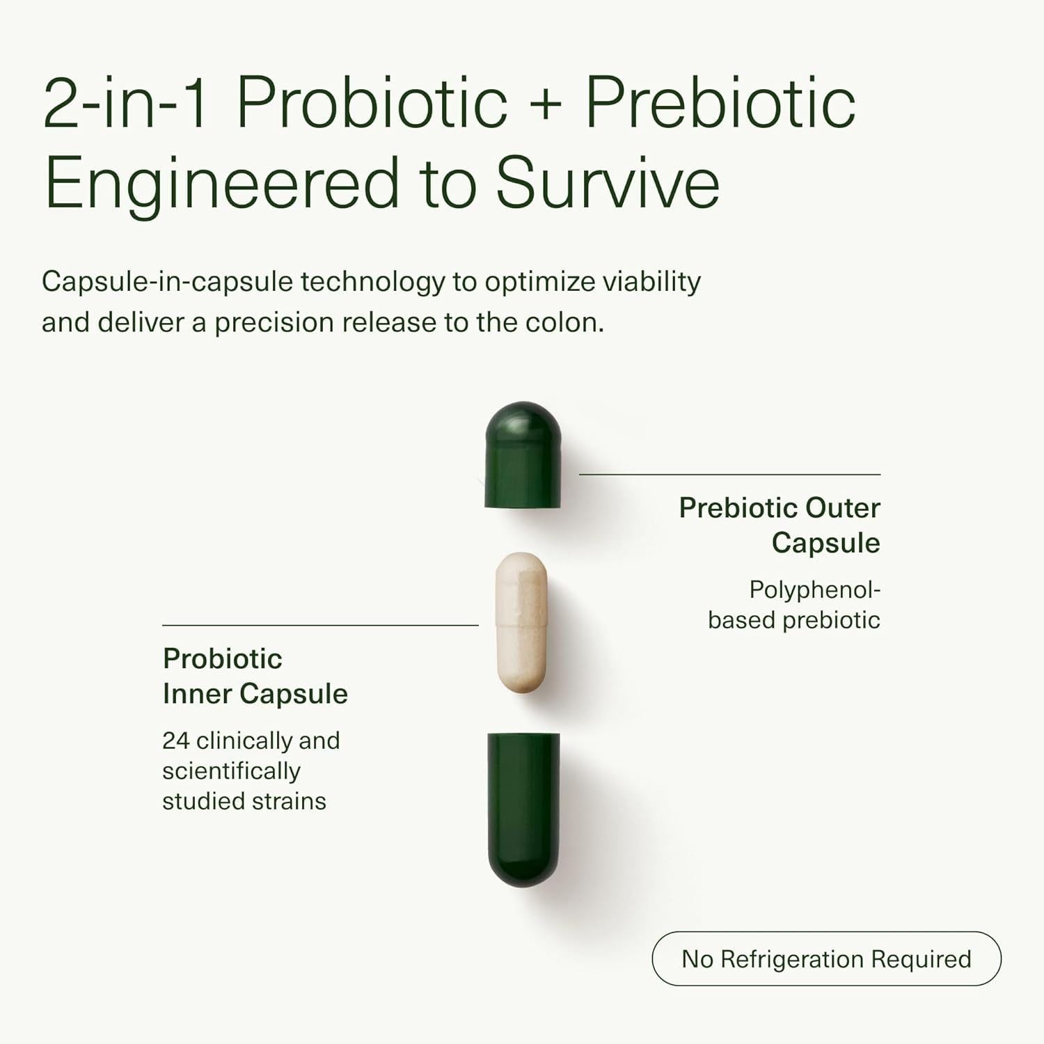 Seed DS-01® 14-Day Gut Reset – 28 Capsules | Rapid Gut Relief & Microbiome Support