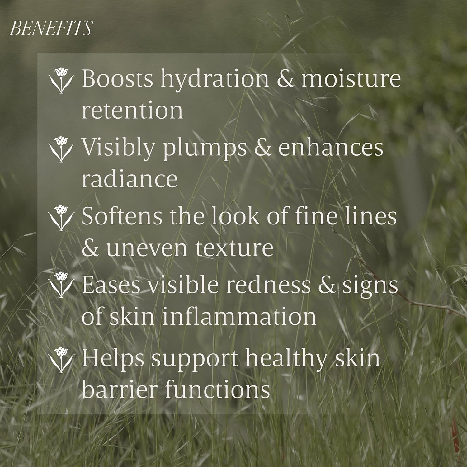 Verli Hydrating Face Serum with Snow Mushroom & Beta-Glucan | Moisturizing Botanical Skincare for Skin Barrier Repair & Plumping | Clean Daily Face Serum | Hyaluronic Acid Alternative, 1.69 Fl Oz