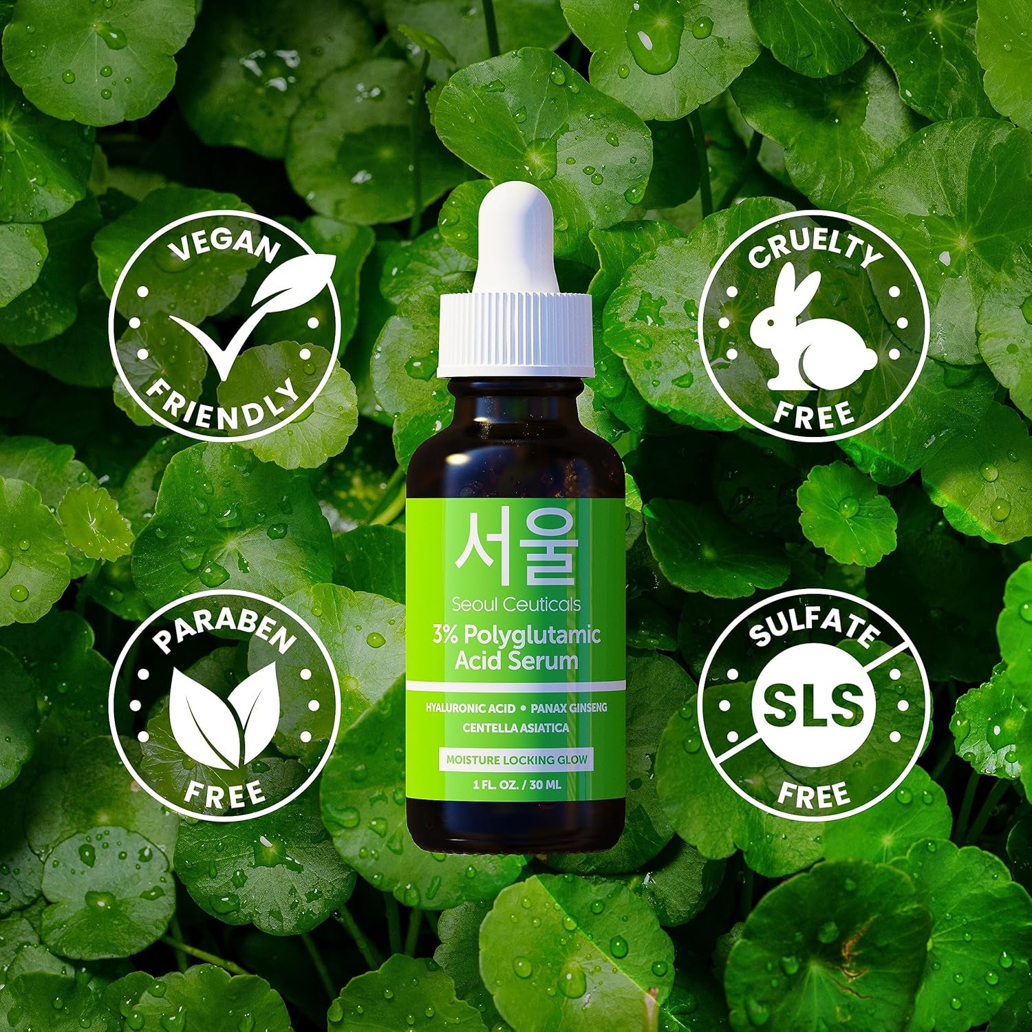 SeoulCeuticals Polyglutamic Acid Serum – Hyaluronic Acid & Centella Asiatica for Intense Hydration & Healthy Glow | 30ml | K-Beauty