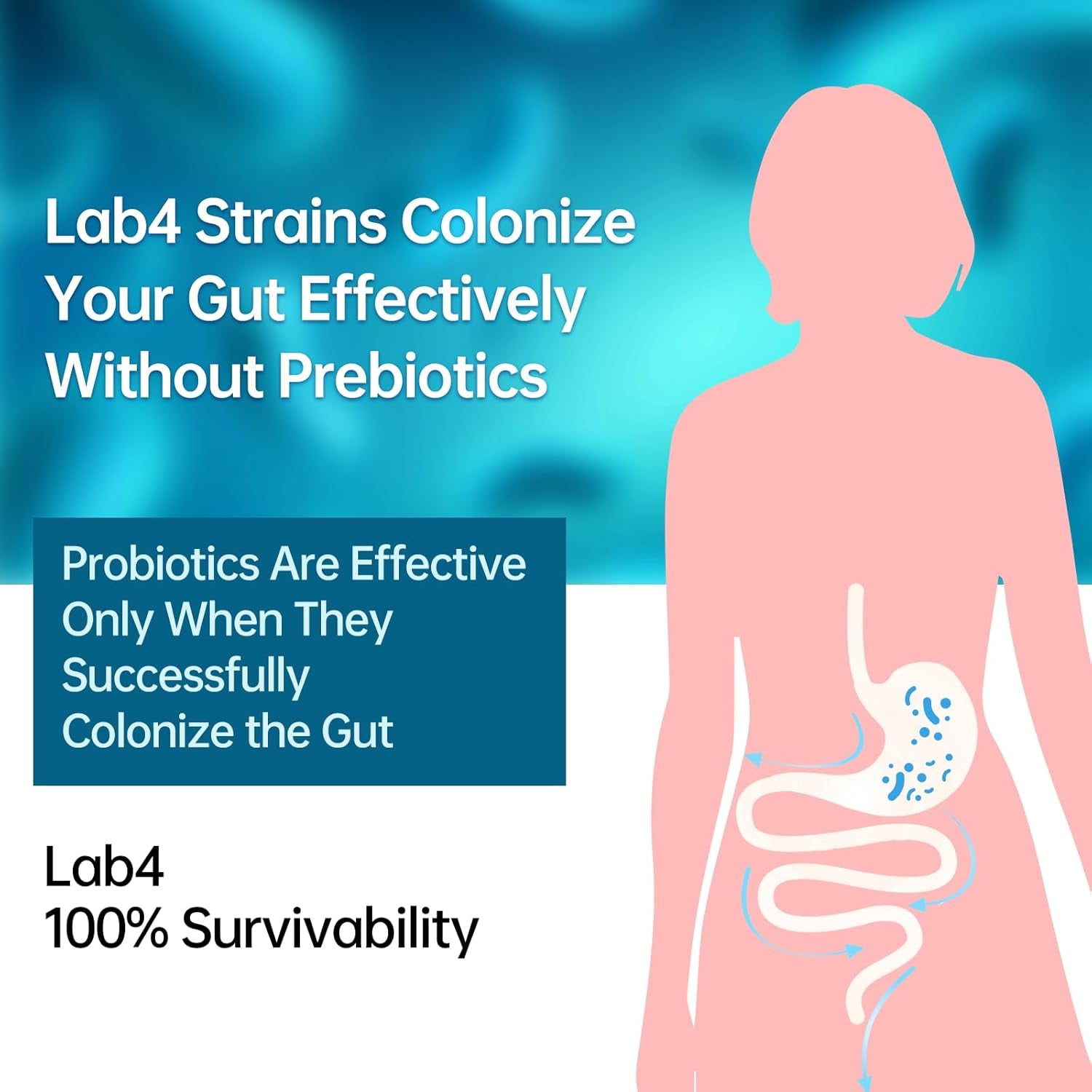 Purmeo 60 Days Supply Probiotics for IBS-D, Stop IBS anti Diarrhea, Gas, Bloating - Support Immune, Digestive & Gut Health - Clinical Proven Lab4 Probiotic 20 Billion CFU, Shelf Stable, Vegan