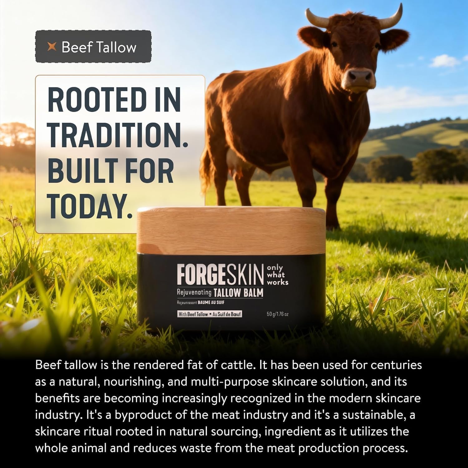 Forge Skin Wrinkle Defence Beef Tallow Balm for Men – 48g | Grass-Fed Tallow & Essential Oils | Face & Body Anti-Ageing Hydration Cream