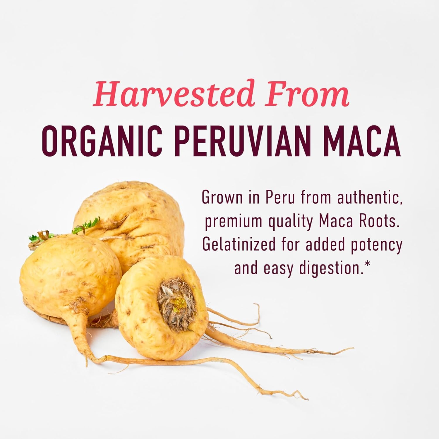 SMNutrition Organic Triple Maca Root 2250mg – Red, Black & Yellow Peruvian Maca with Black Pepper for Women's Energy & Hormone Balance | 120 Capsules