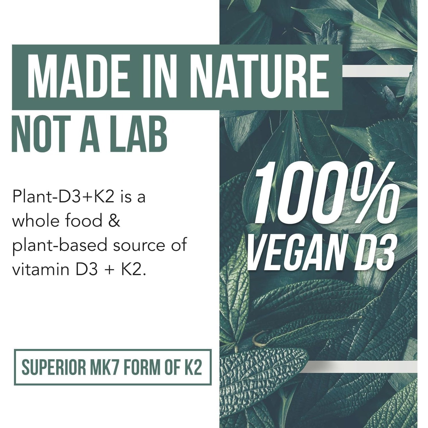 Organic Plant D3 + K2 | 5000 Iu D3 + 120 Mcg K2 as All-Trans MK7 from Menaq7® - 100% Whole Food, Raw & Vegan | Enhanced Digestion with Prebiotic & Superfood Complex – D3 from Organic Algae (60 Count)
