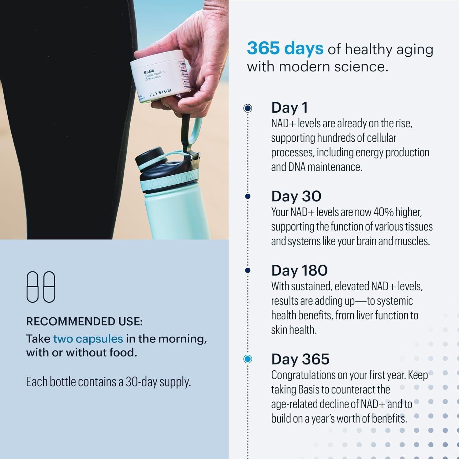 ELYSIUM Basis Cellular Health & Optimization – 60 Capsules | Boost NAD+ & Support Healthy Aging