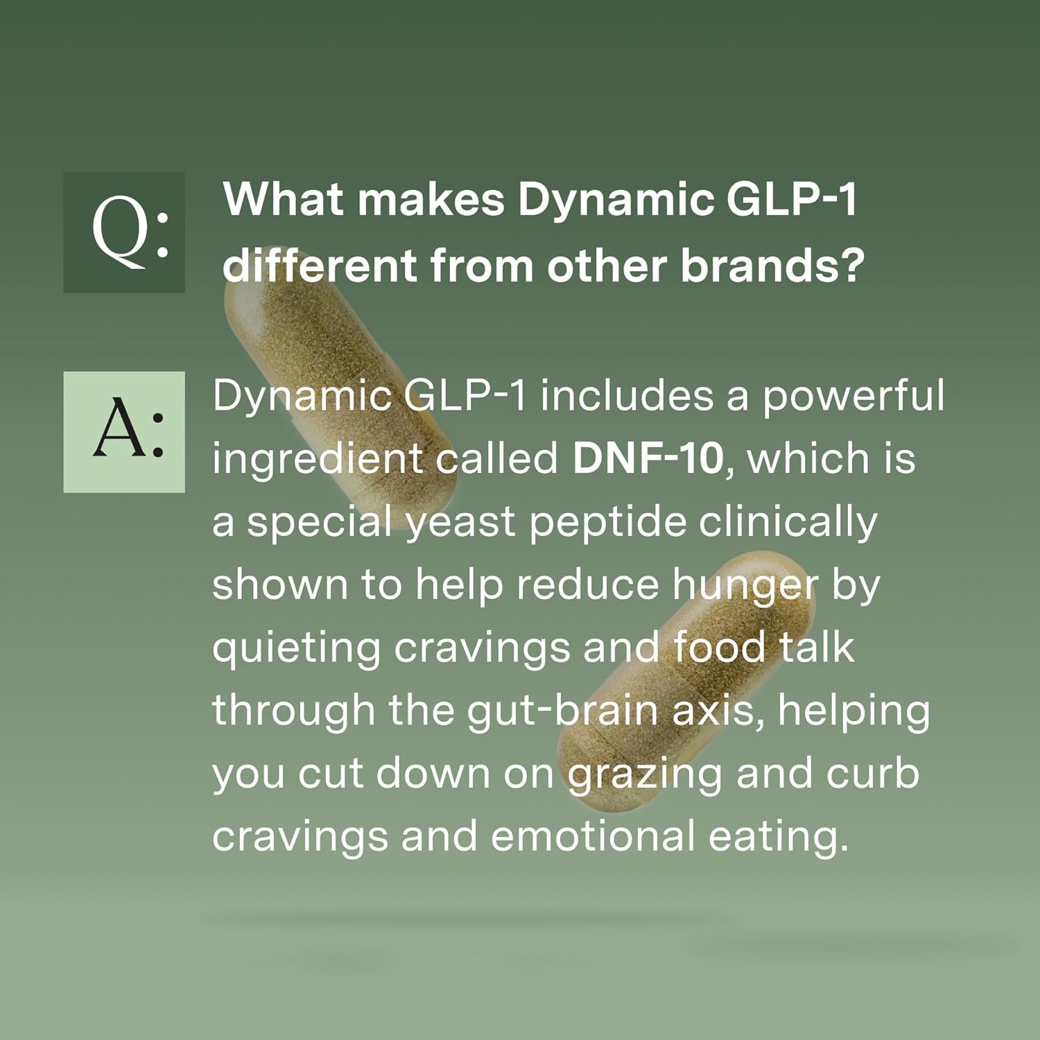 Stonehenge Health Dynamic GLP-1 Nutrition Support Supplement for Women, Men, 550Mg Berbevis Berberine 10X Better Absorbed, Akkermansia, DNF-10, Capsifen Support Appetite, Gut Health - 60 Veg Caps