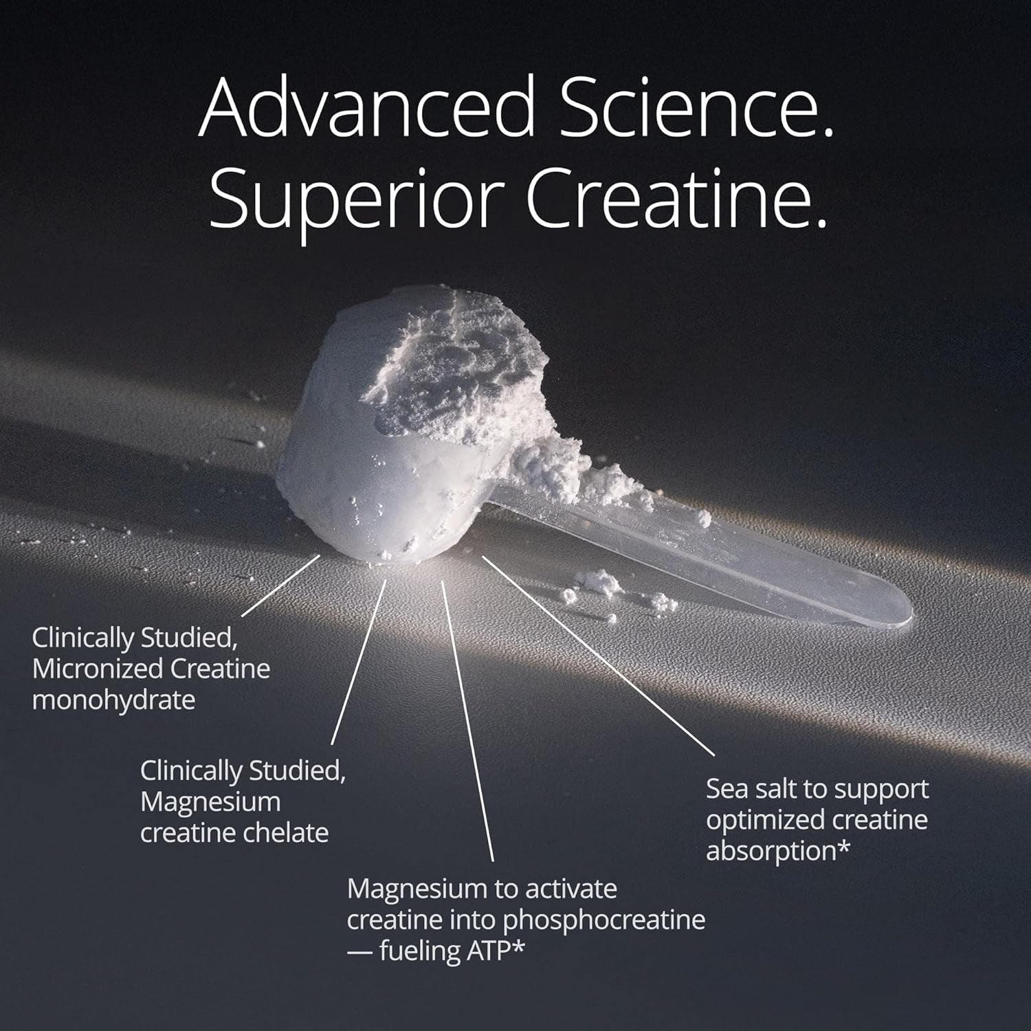 Qualia Creatine | Advanced Creatine Complex | 2 Sources + Magnesium | Optimized Absorption | Muscle Performance, Brain Function, & Healthy Aging