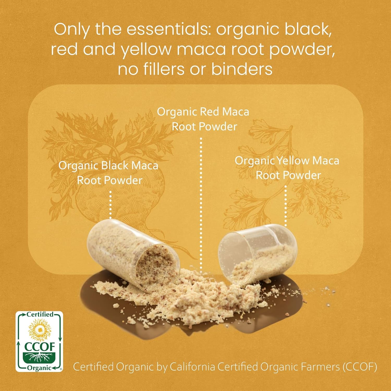 Naturalife Labs Organic Maca Root – Black, Red & Yellow – 1900 Mg per Serving – 150 Capsules – Gelatinized Peruvian Maca – Non-Gmo, Gluten-Free, Vegan