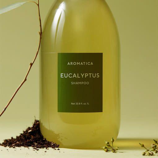 AROMATICA Eucalyptus Shampoo 15 Amino 1000ml - Glam Global UKAROMATICA