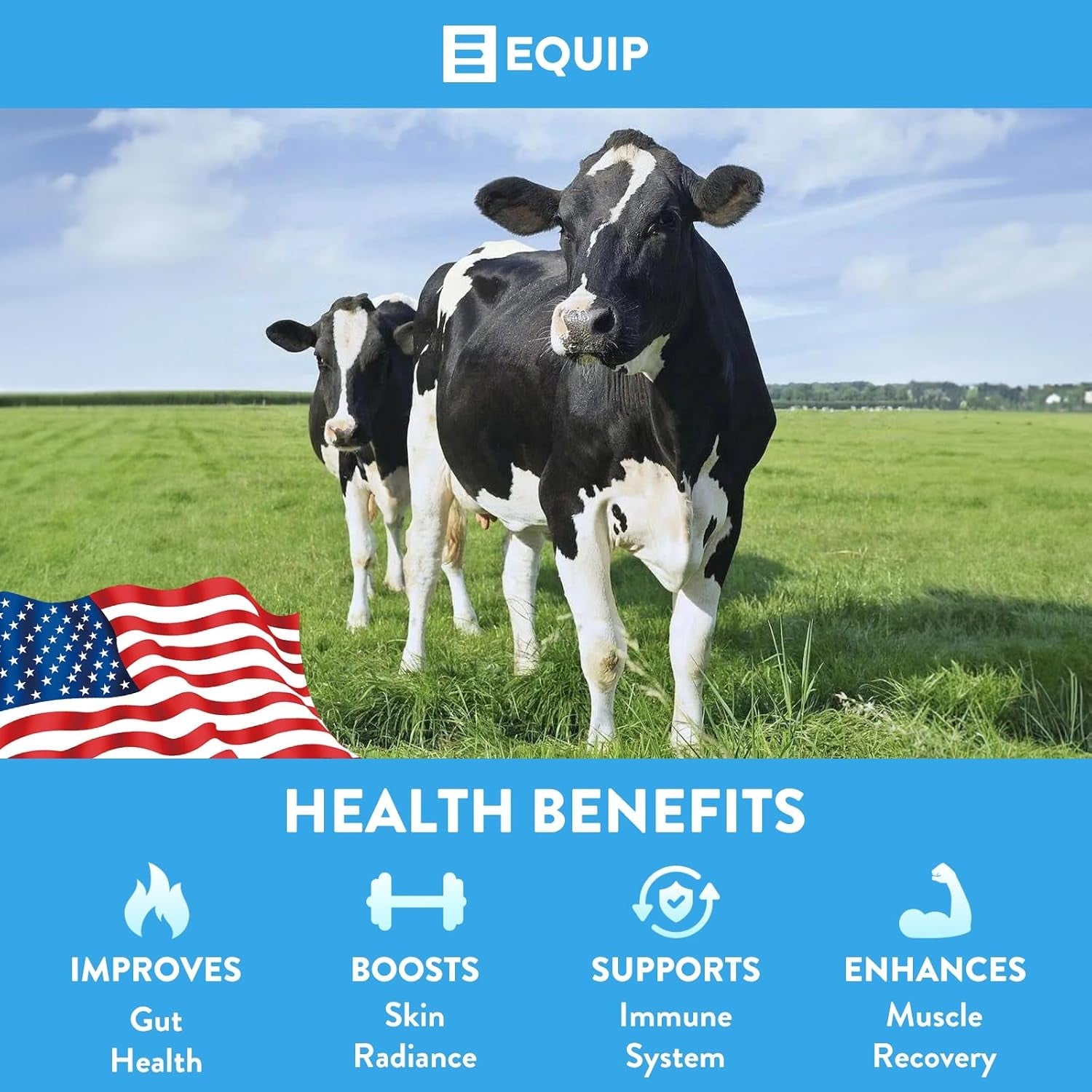 Equip Core Colostrum Powder | Watermelon – 112g | Grass-Fed Bovine Colostrum for Immunity, Gut Health & Skin Support
