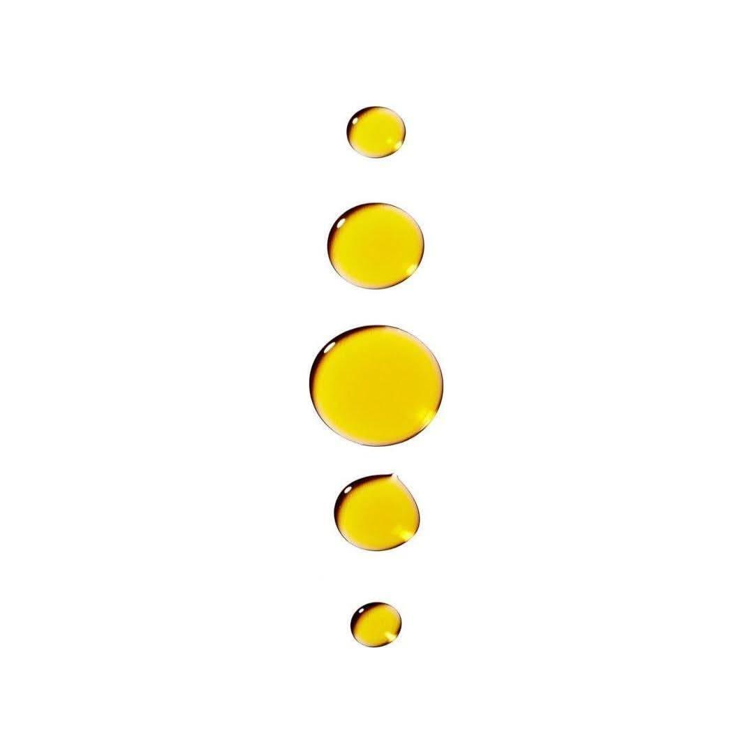 Codex Labs Bia Nourishing Facial Oil - 30ml - Glam Global UKCodex Labs