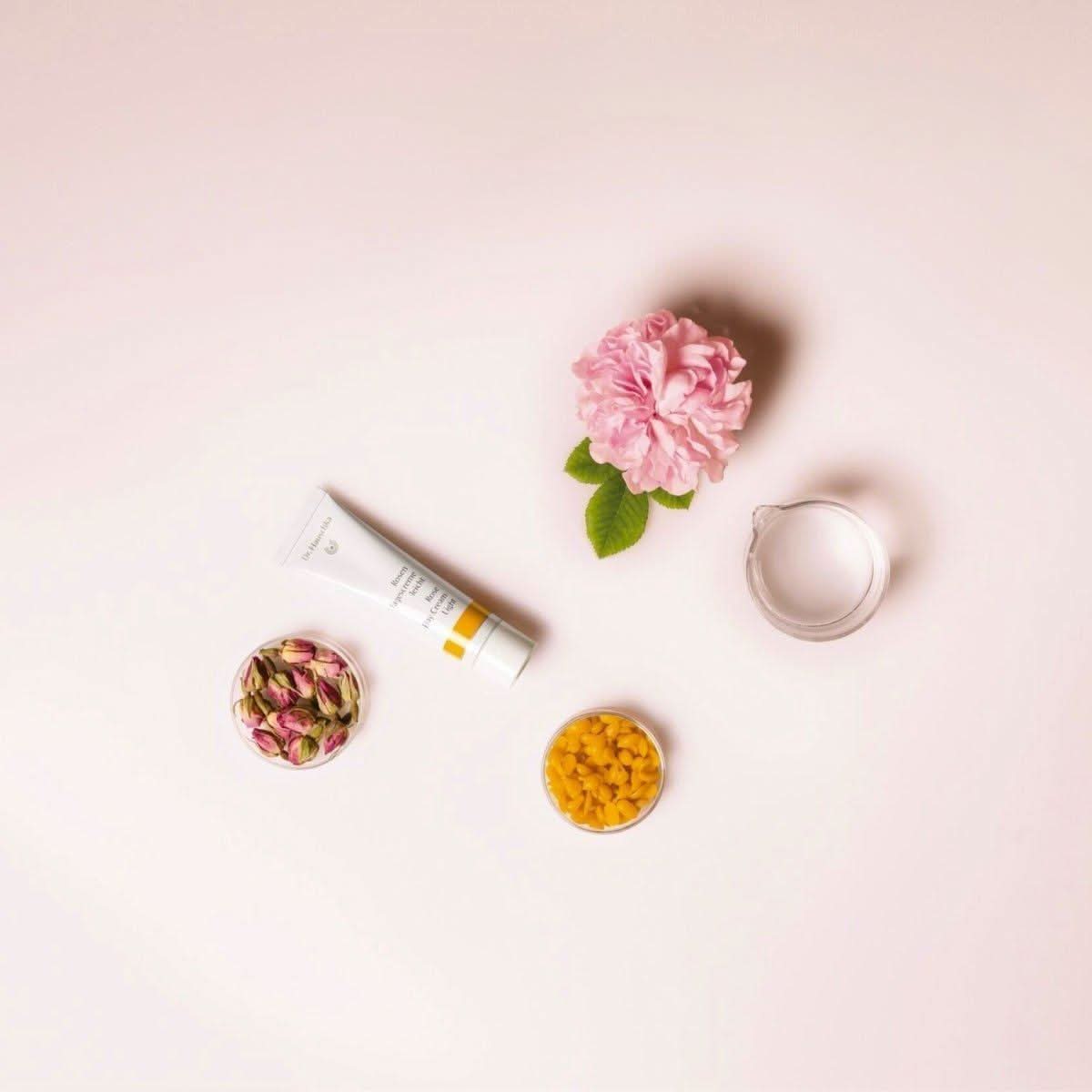Dr. Hauschka Rose Day Cream - 30ml - Glam Global UKDr. Hauschka