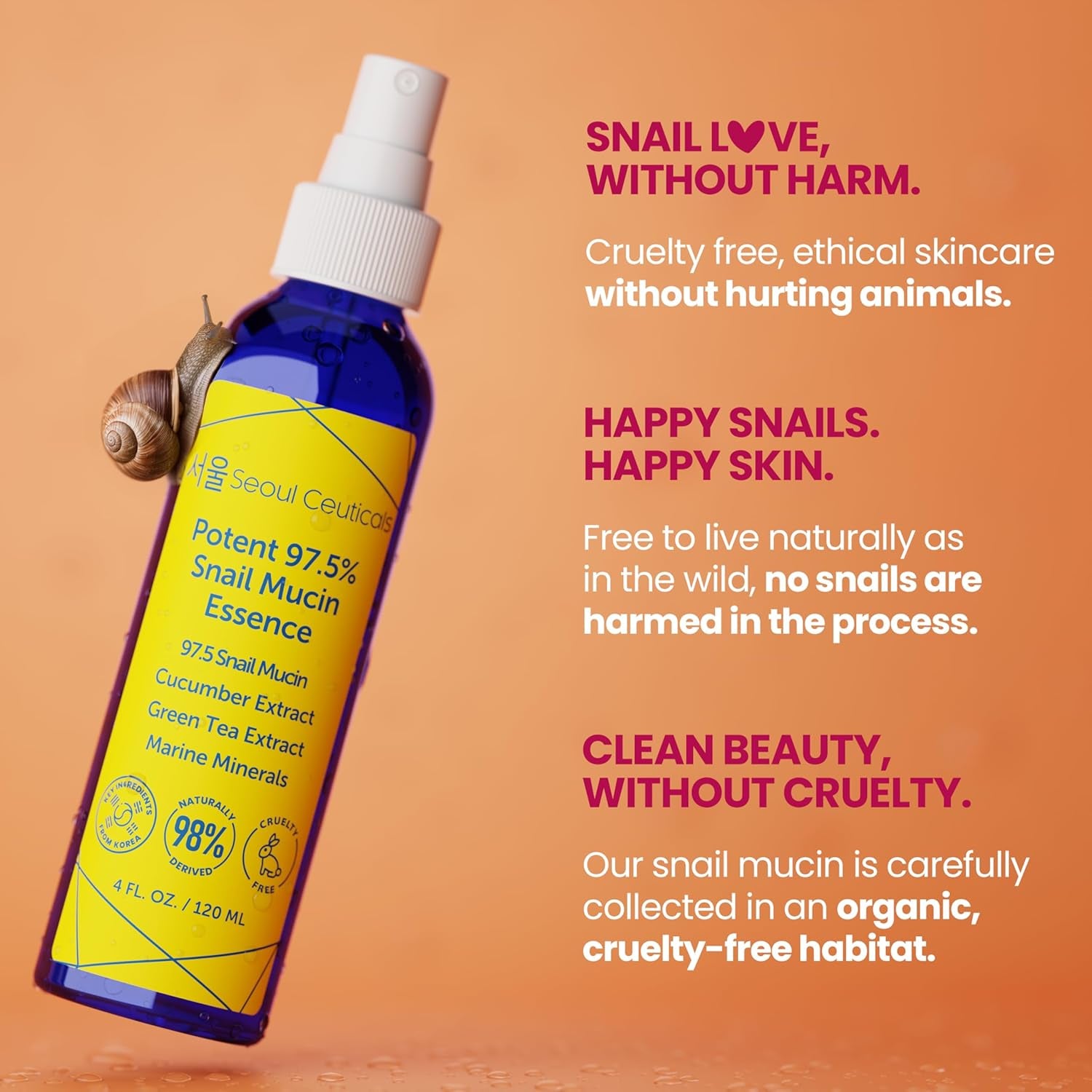 SeoulCeuticals Snail Mucin 97.5% Essence Face Mist – Cucumber, Marine Minerals, Green Tea & Aloe Vera Hydrating Spray | 120ml | K-Beauty