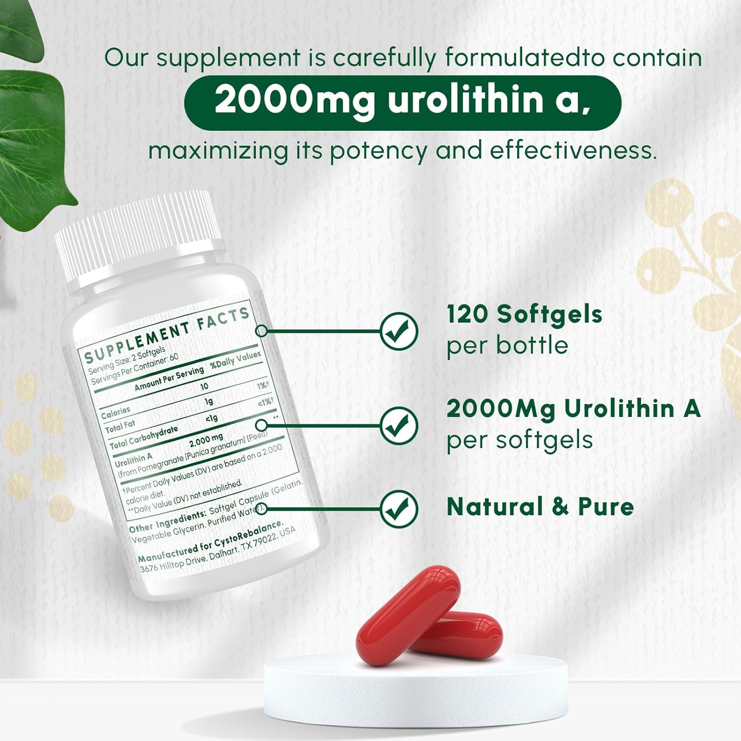 CystoRebalance Urolithin A – 120 Softgels | 2000mg High-Absorption Cellular Health Supplement