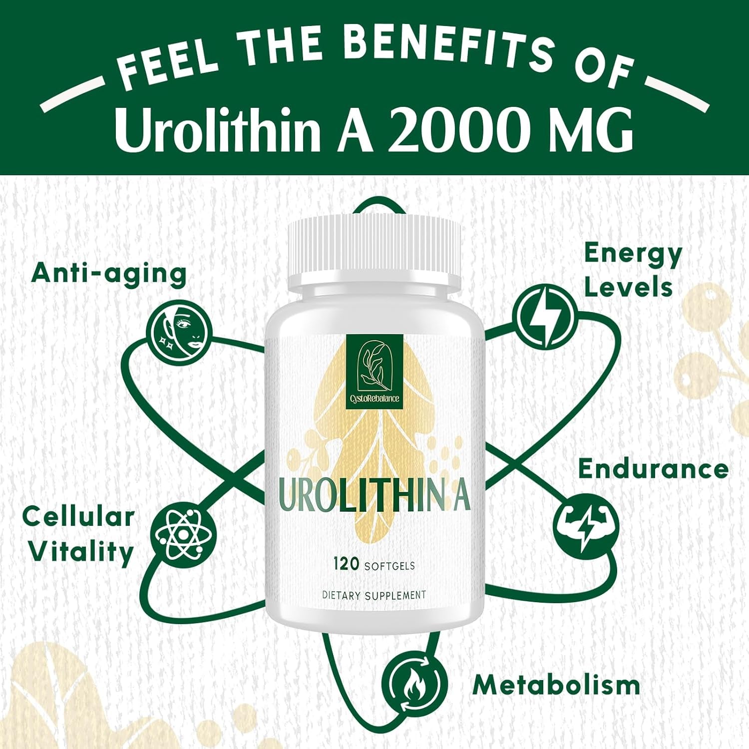 CystoRebalance Urolithin A – 120 Softgels | 2000mg High-Absorption Cellular Health Supplement