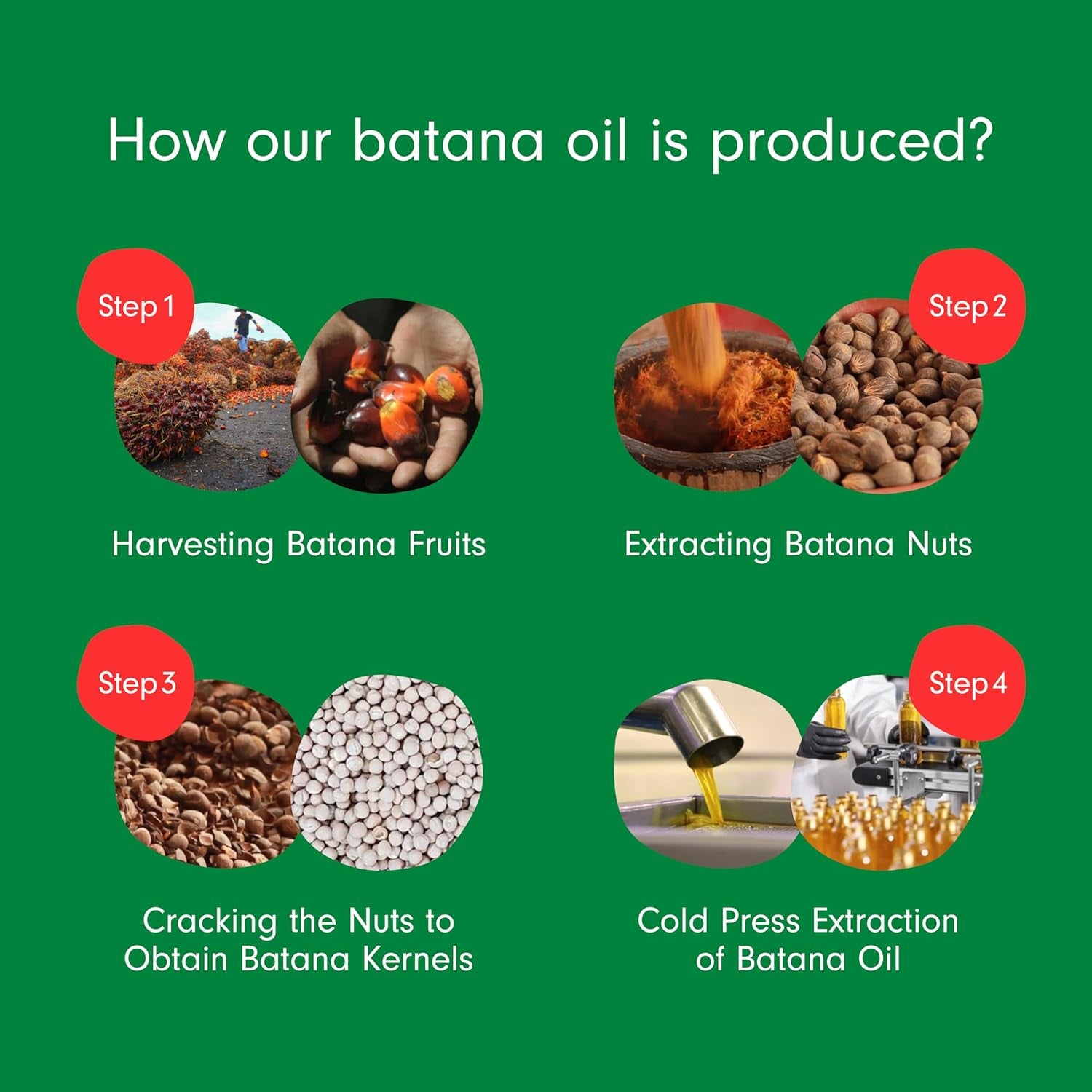 Dersie 100% Pure Batana Oil - Organic Lightweight Leave-In & Pre-Wash Oil for Dry, Damaged, High Porosity Hair - Scalp & Hair Care for Healthier, Longer-Looking Hair - Honduras Sourced (4 Fl Oz)
