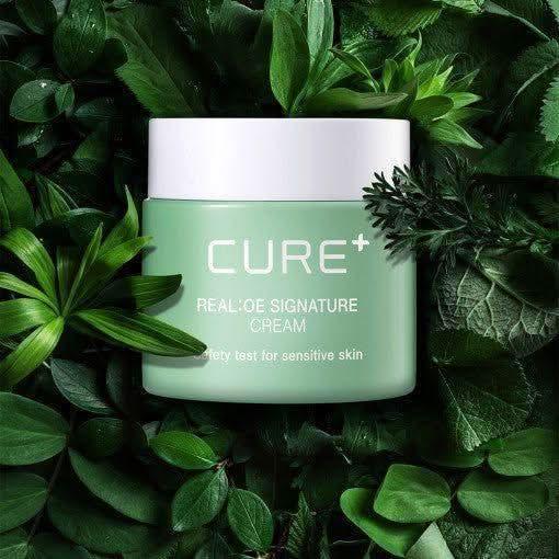 KIM JEONG MOON Cure Realoe Signature 3X Cream - 55g | Anti - Wrinkle & Skin Tone Enhancer - Glam Global UKKIM JEONG MOON Aloe