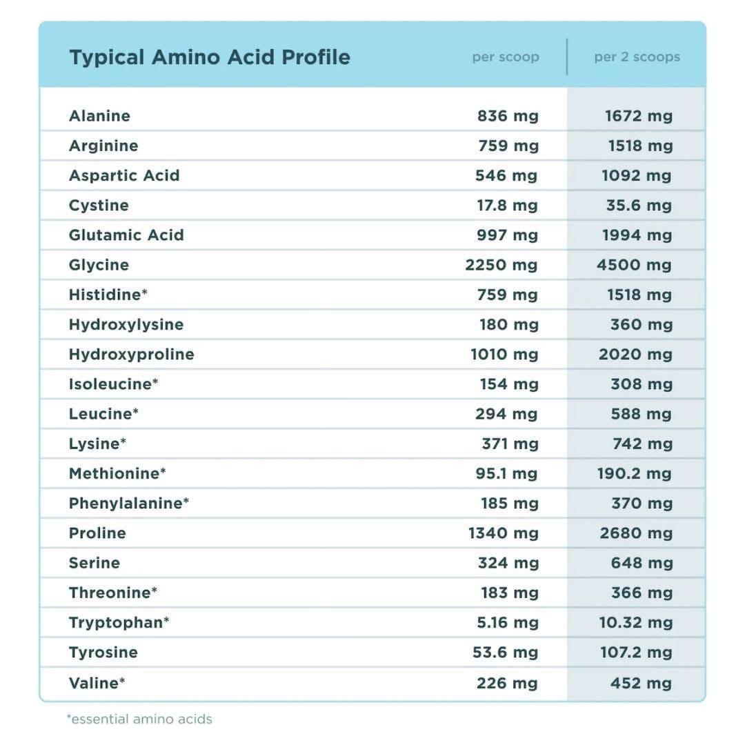 Ancient Nutrition Multi Collagen Protein - Vanilla - Glam Global UKAncient Nutrition