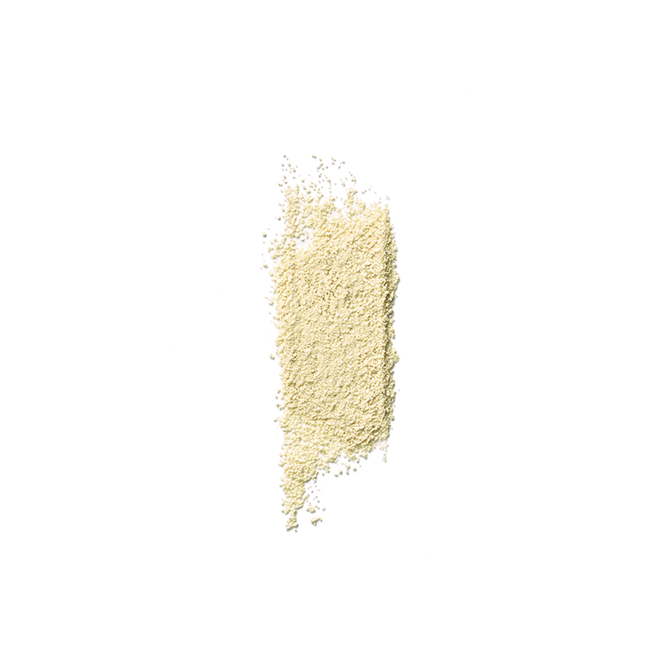 YUNJAC Whole Plant Effect Espuma diaria y exfoliante - 2g × 16ud | Exfoliación suave y limpieza profunda