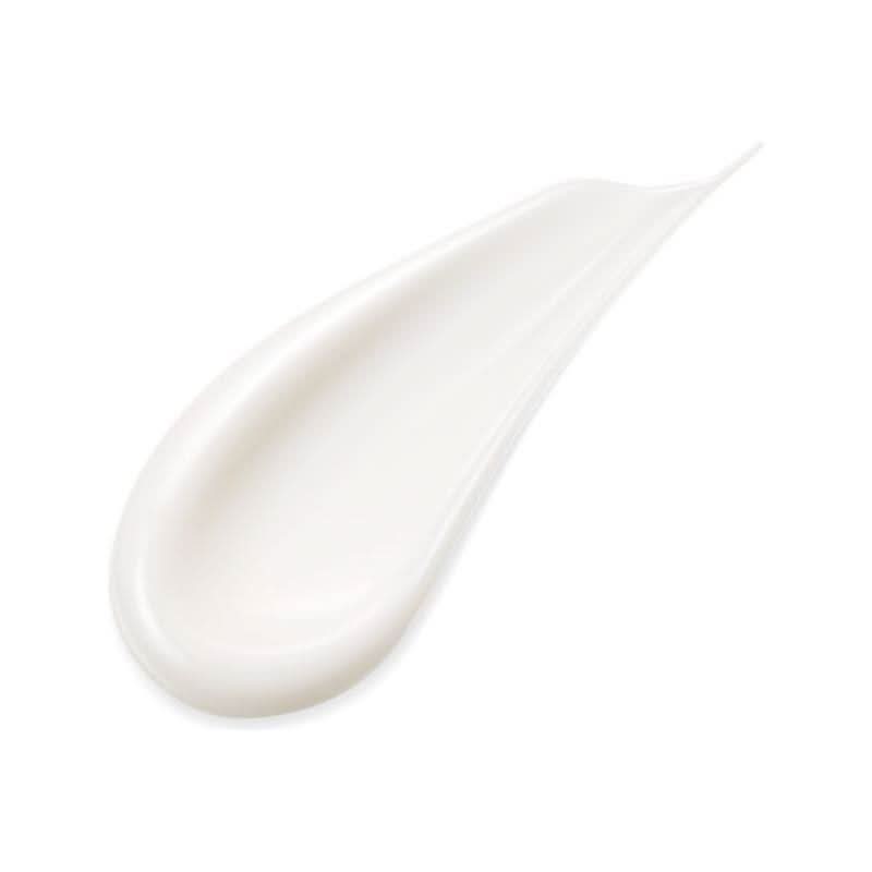 SENSAI Absolute Silk Illuminative Cream – Wrinkle Reduction & Brightening Moisturizer - Glam Global UKSensai