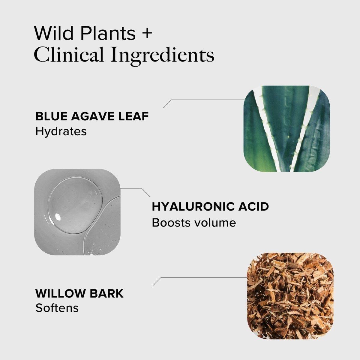 Alpyn Beauty Willow & Sweet Agave Lip Treatment | Hydration & Smoothing Care - 15ml - Glam Global UKAlpyn Beauty