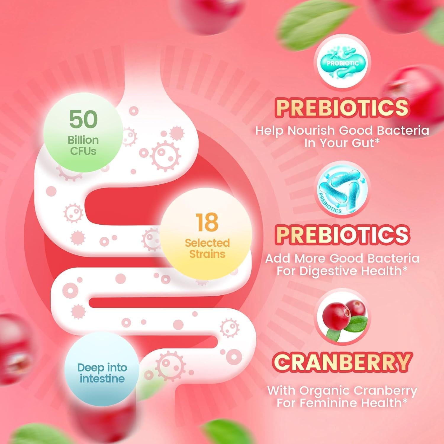 Vivonu Women's Probiotic Gummies – 60 Count | 500 Million CFUs & Fibre | Feminine Balance, Digestive & Gut Health | Vitamin C Immune Support