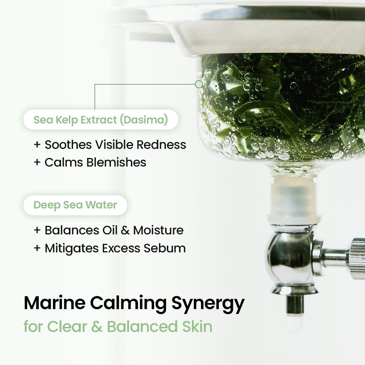BIODANCE Refreshing Sea Kelp Real Deep Hydrogel Mask – 34g x 4 Sheets | Overnight Hydration | Oil & Sebum Control | Blemish Care & After-Sun Relief