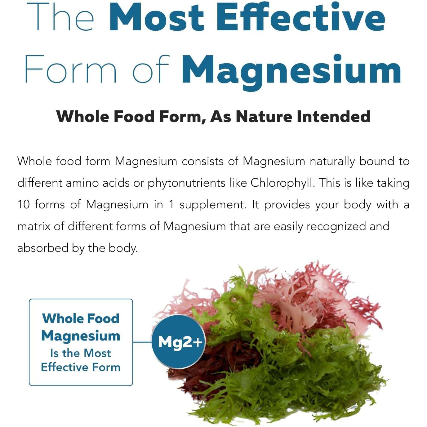 Organic Whole Food Magnesium Supplement - Plant-Based, Organic Sea Vegetable Complex - 250 Mg per Serving | Water Extracted | Gentle on Stomach | Supports Energy, Sleep, Muscle, Heart - 60 Capsules