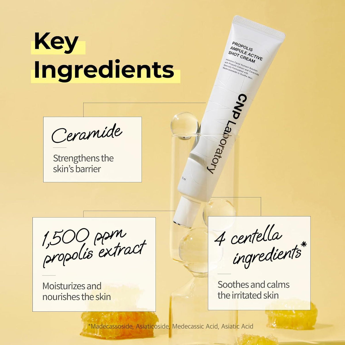 CNP Propolis Ampule Active Shot Cream 75ml