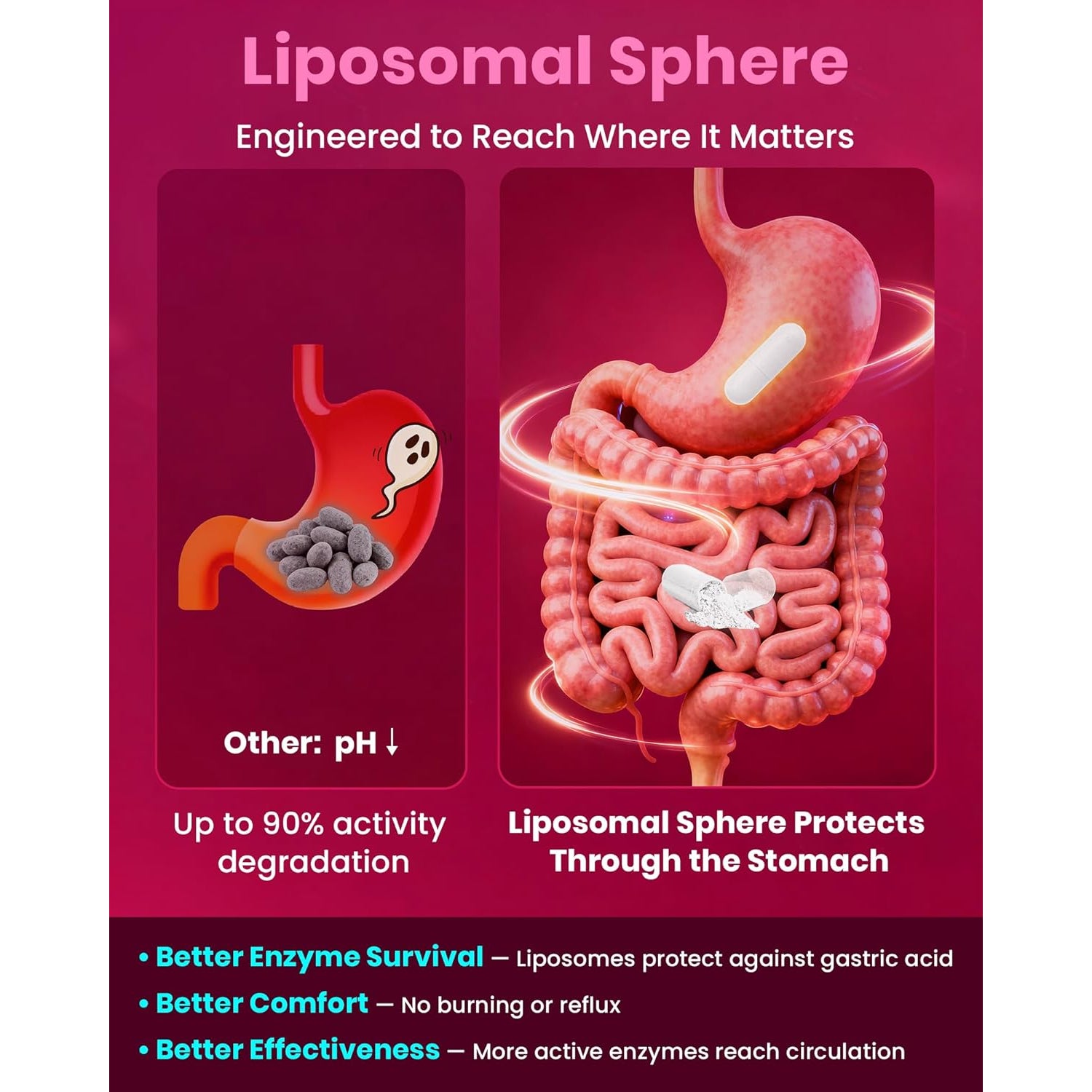 Nattokinase Supplement 12,000 FU (Max Strength) Serrapeptase 360,000 Spu, Lumbrokinase 10,000 FUV & Coq10 -Systemic Enzymes Complex for Cardiovascular & Circulatory Health Support-100 Capsule