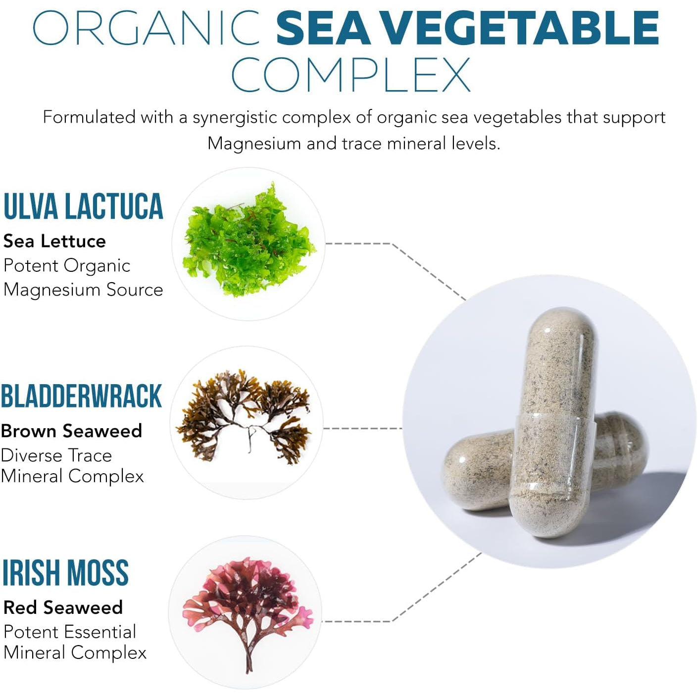 Organic Whole Food Magnesium Supplement - Plant-Based, Organic Sea Vegetable Complex - 250 Mg per Serving | Water Extracted | Gentle on Stomach | Supports Energy, Sleep, Muscle, Heart - 60 Capsules