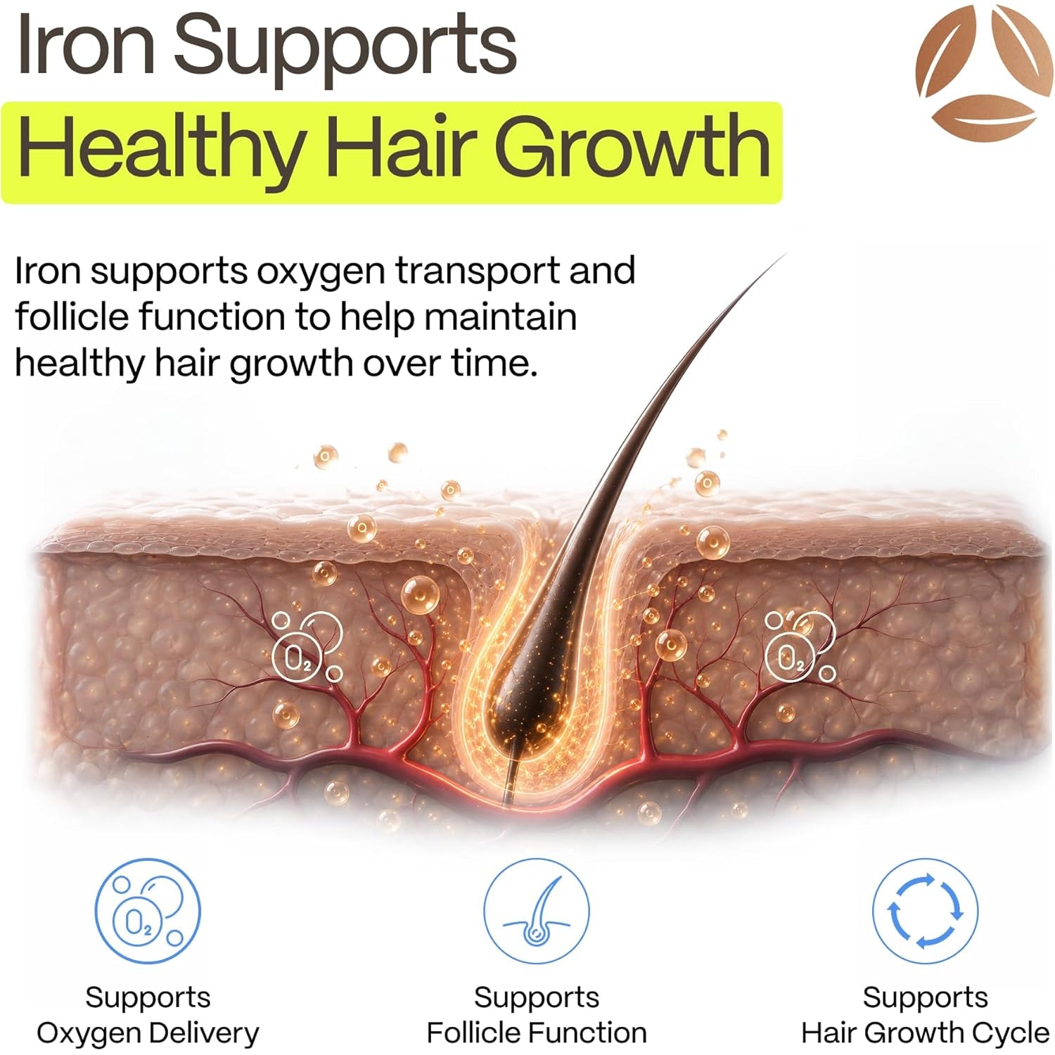 Dermairon Iron Supplement for Women & Men – Gentle Iron for Low Ferritin & Anemia Support, Hair Thinning & Hair Loss Support, with Collagen & Vitamin C