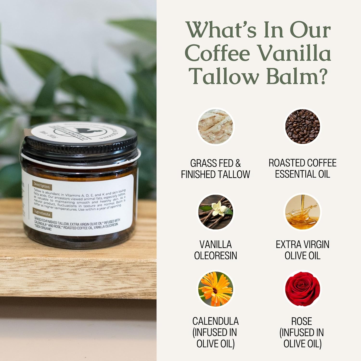 Hearth & Homestead Whipped Grass-Fed Beef Tallow Balm – 37g | Organic Olive Oil, Calendula & Rose | Coffee Vanilla | Dry Skin, Face & Body Moisturiser