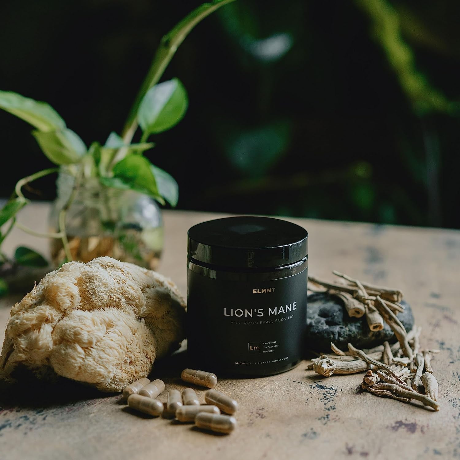 ELMNT 16X Lion's Mane Mushroom Extract – 50% Polysaccharides, Ashwagandha & Rhodiola Nootropic for Memory & Focus | Brain Health Supplement