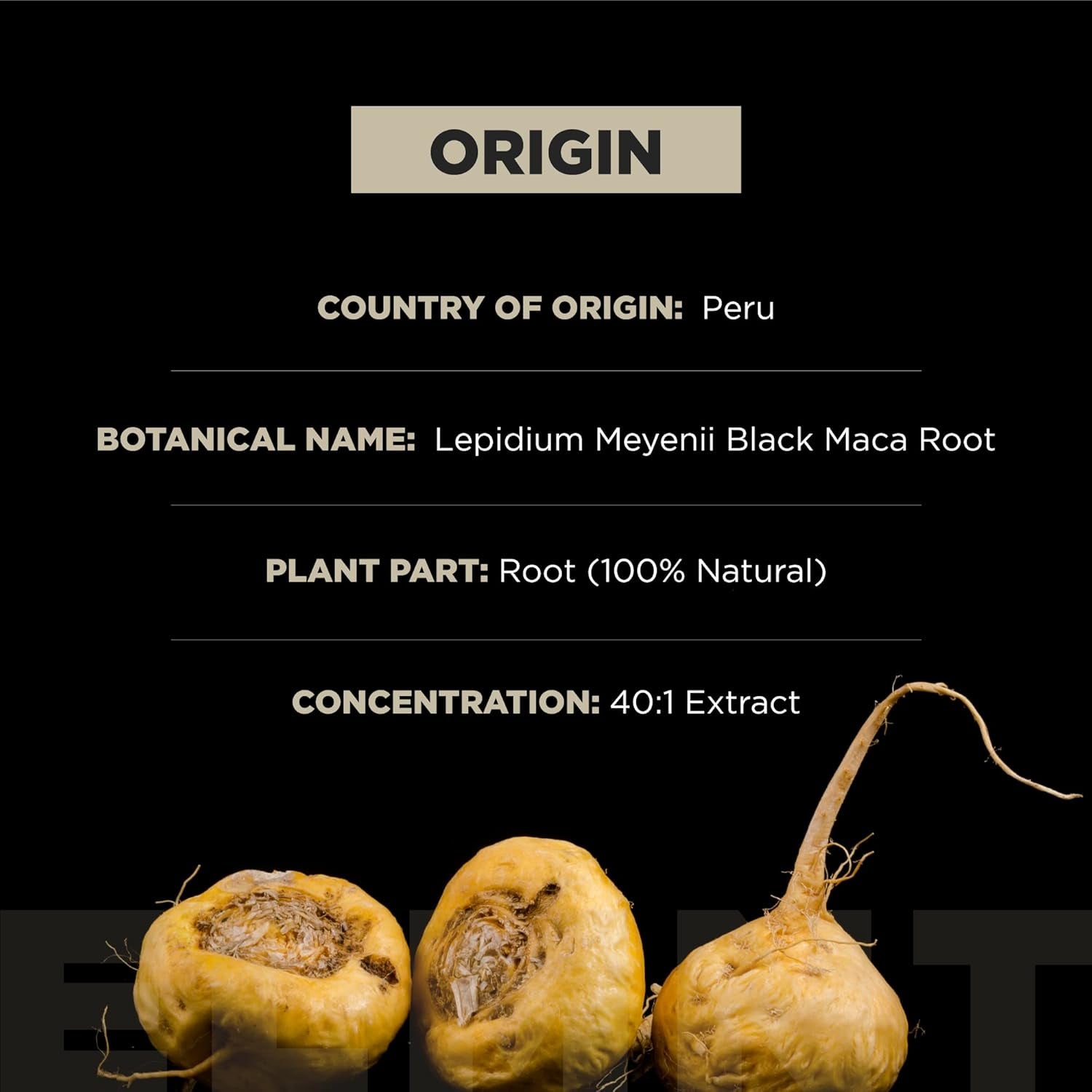ELMNT 40X Black Maca Root Extract – 40:1 Organic Gelatinised Maca with Ashwagandha for Energy, Vitality & Performance | Highest Potency