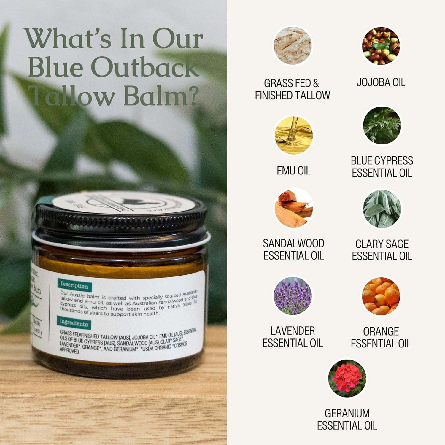 Hearth & Homestead Whipped Australian Grass-Fed Beef Tallow Balm – 37g | Emu Oil, Jojoba, Sandalwood & Blue Cypress | Dry Skin, Face & Body Moisturiser
