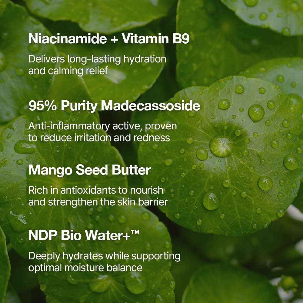NDP Vitamin B9 Tone-Up Cream, Silicone Free Face Primer for Pore Minimizing, 95% Pure Cica Extract, Breathable Skin Formula, Glass Skin & Lightweight, V-Cream Clean K-Beauty (65Ml / 2.19 Fl Oz)