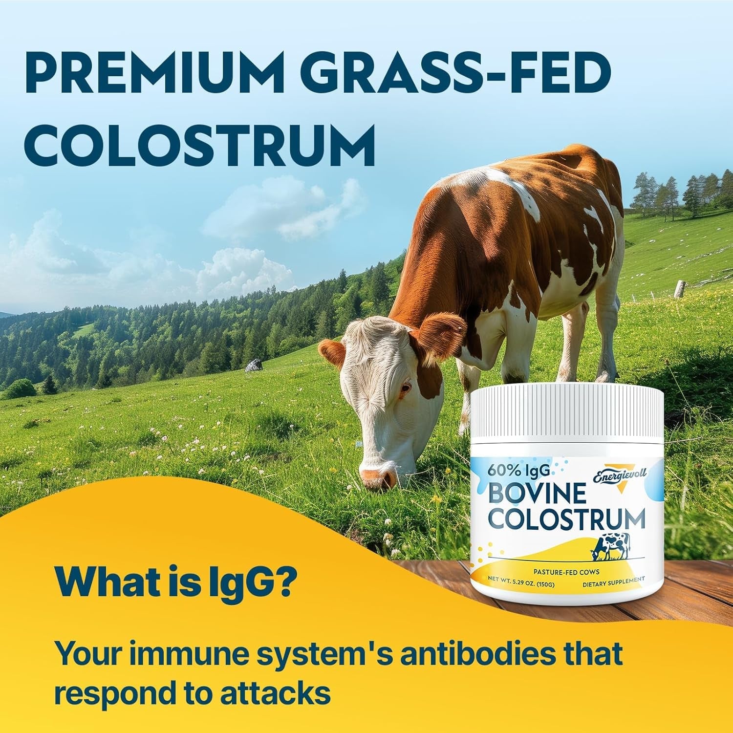 Energievoll 60% IgG Bovine Colostrum Supplement Powder – 150g | Premium Grass-Fed Immune Support (Unflavored, 50 Servings)