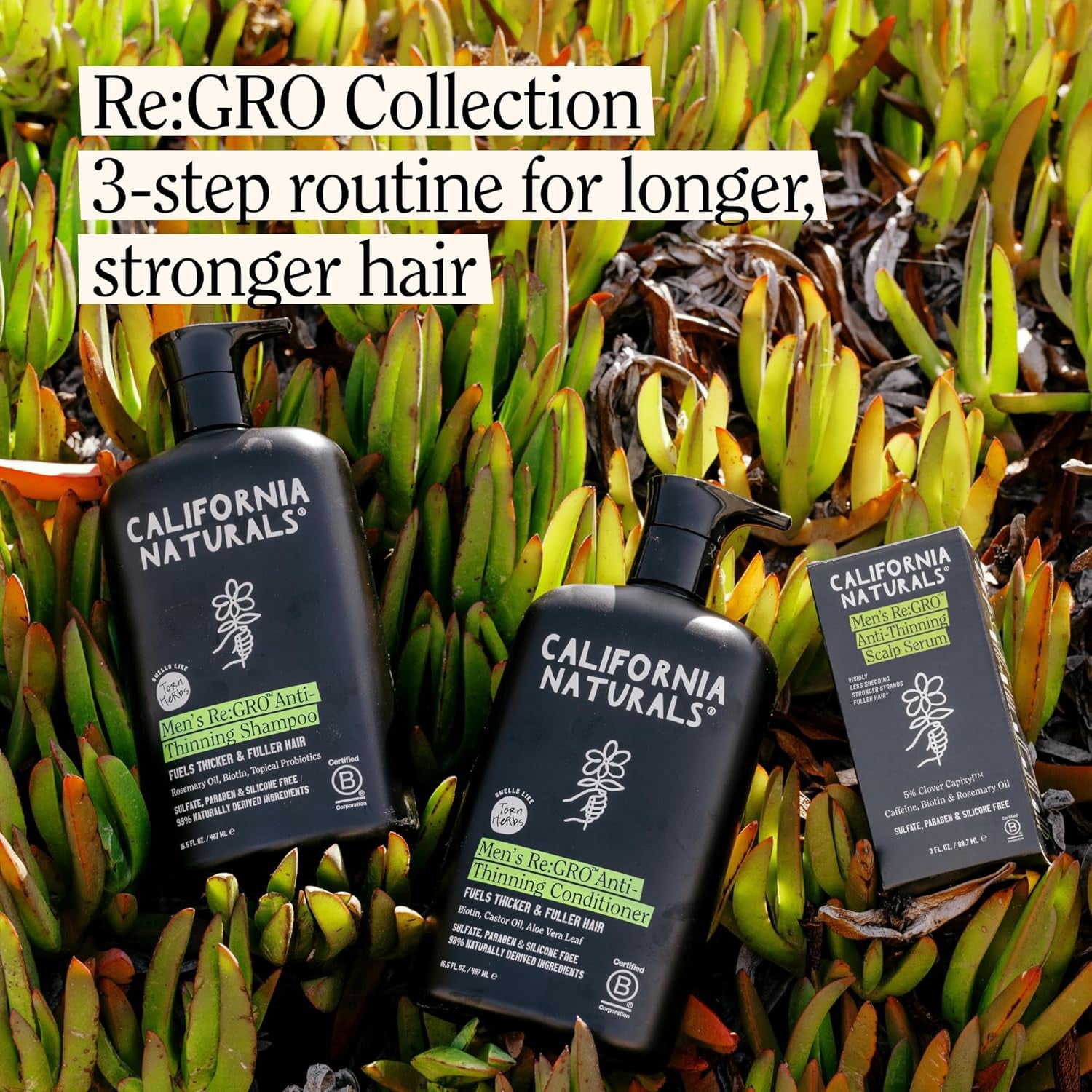 California Naturals Re:Gro Men's Scalp Serum – 5% Capixyl, Biotin & Rosemary Oil for Thicker Hair | 90ml