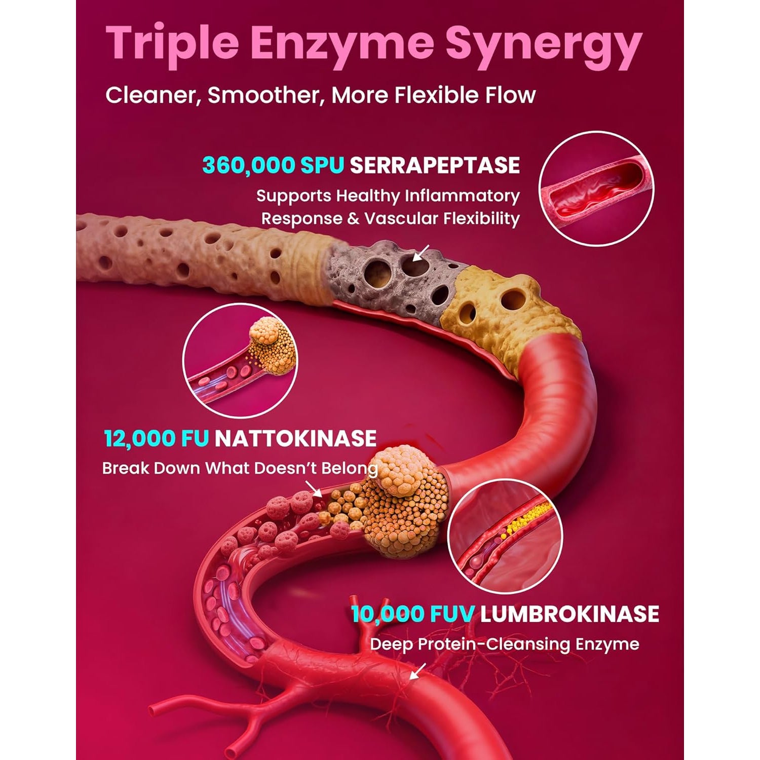 Nattokinase Supplement 12,000 FU (Max Strength) Serrapeptase 360,000 Spu, Lumbrokinase 10,000 FUV & Coq10 -Systemic Enzymes Complex for Cardiovascular & Circulatory Health Support-100 Capsule