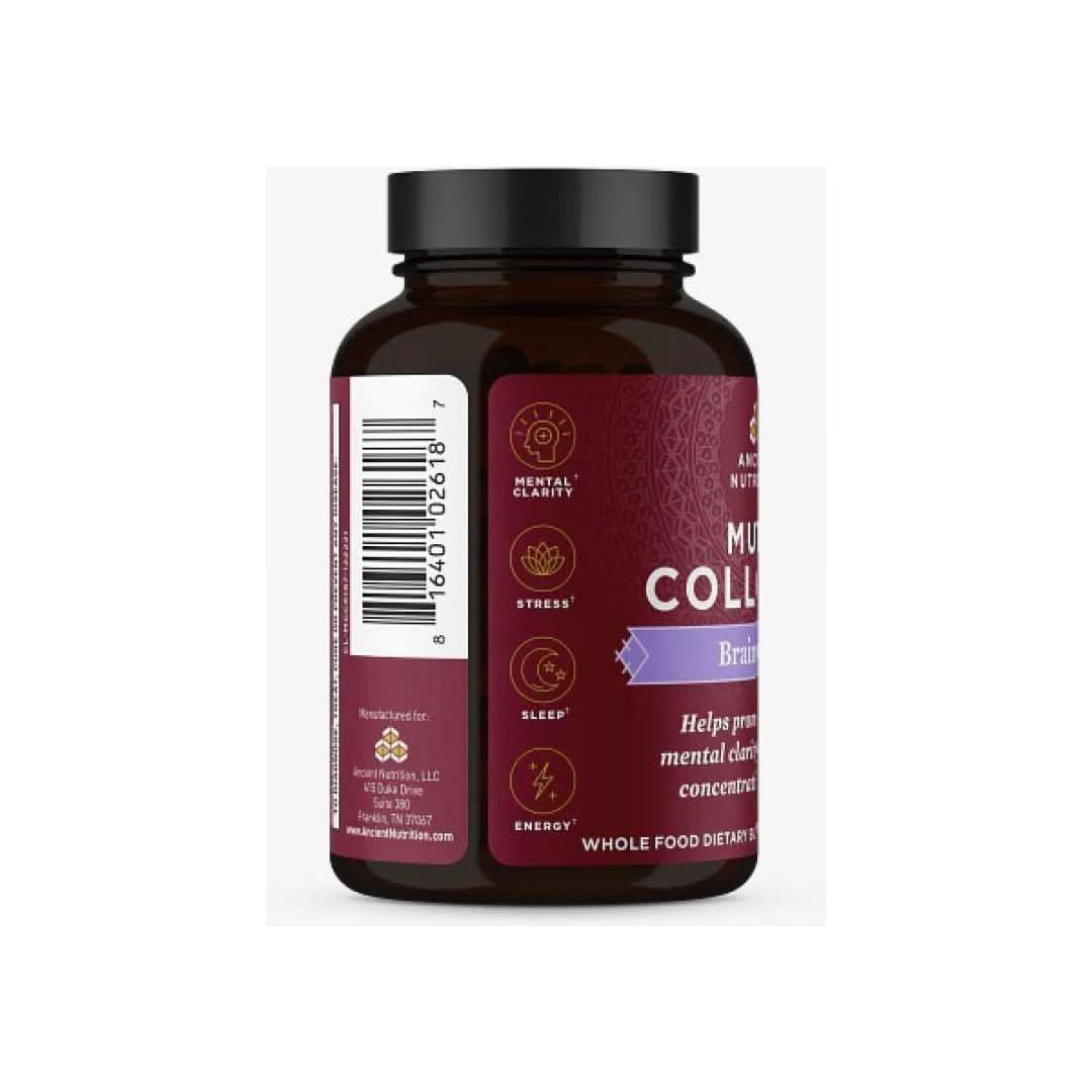 Ancient Nutrition Multi Collagen Protein Brain Boost (90 Capsules) - Glam Global UKAncient Nutrition