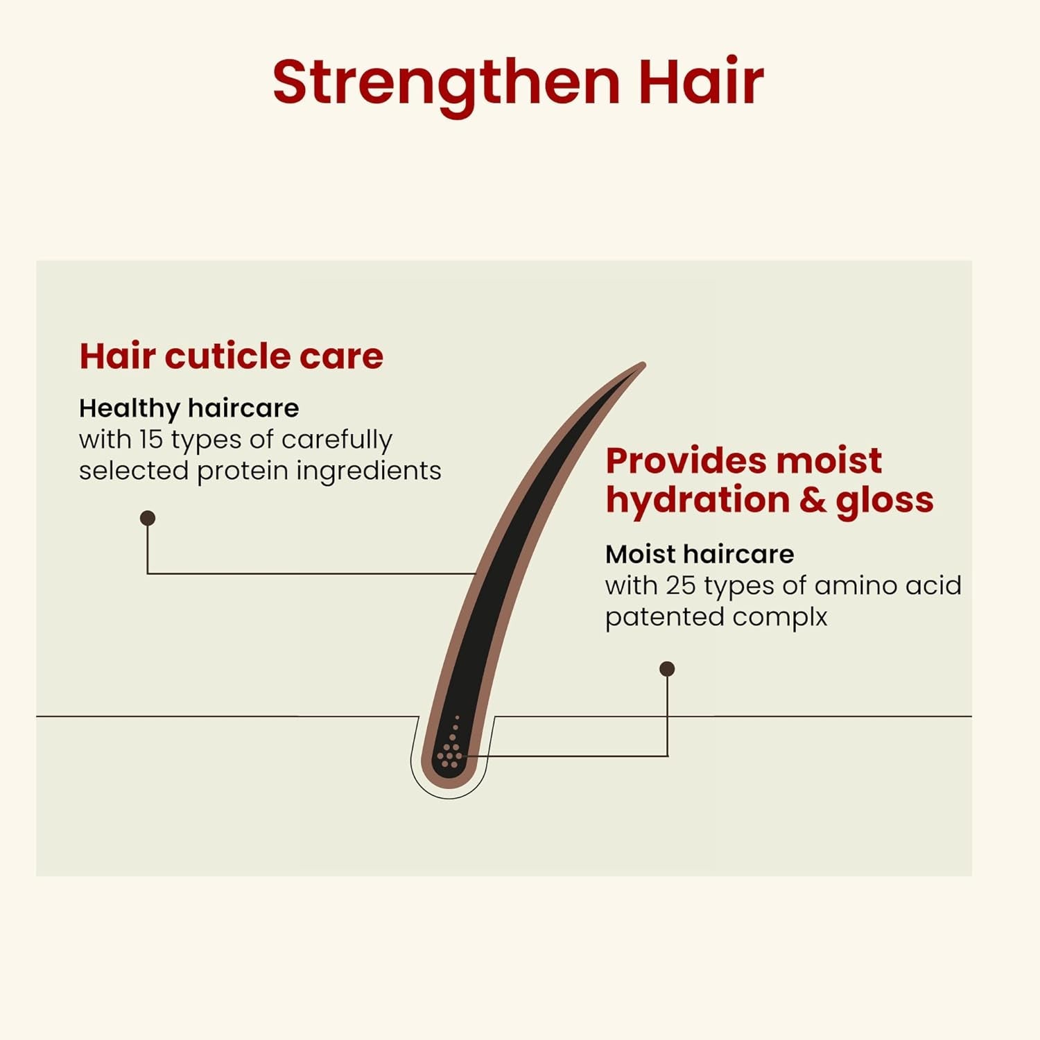 CH6 Sprout Scalp SSAG Shampoo – 520ml | Hair Loss Relief, Anti-Ageing & Scalp Renewal Formula