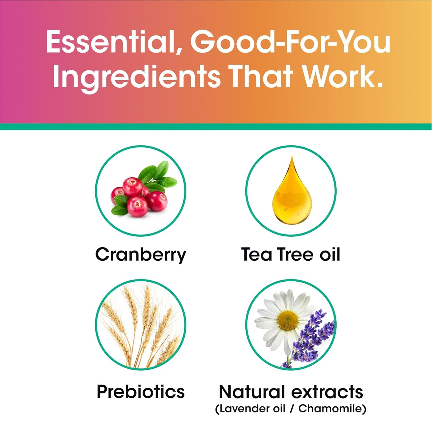 vH essentials pH Balanced Feminine Wash – product view 4