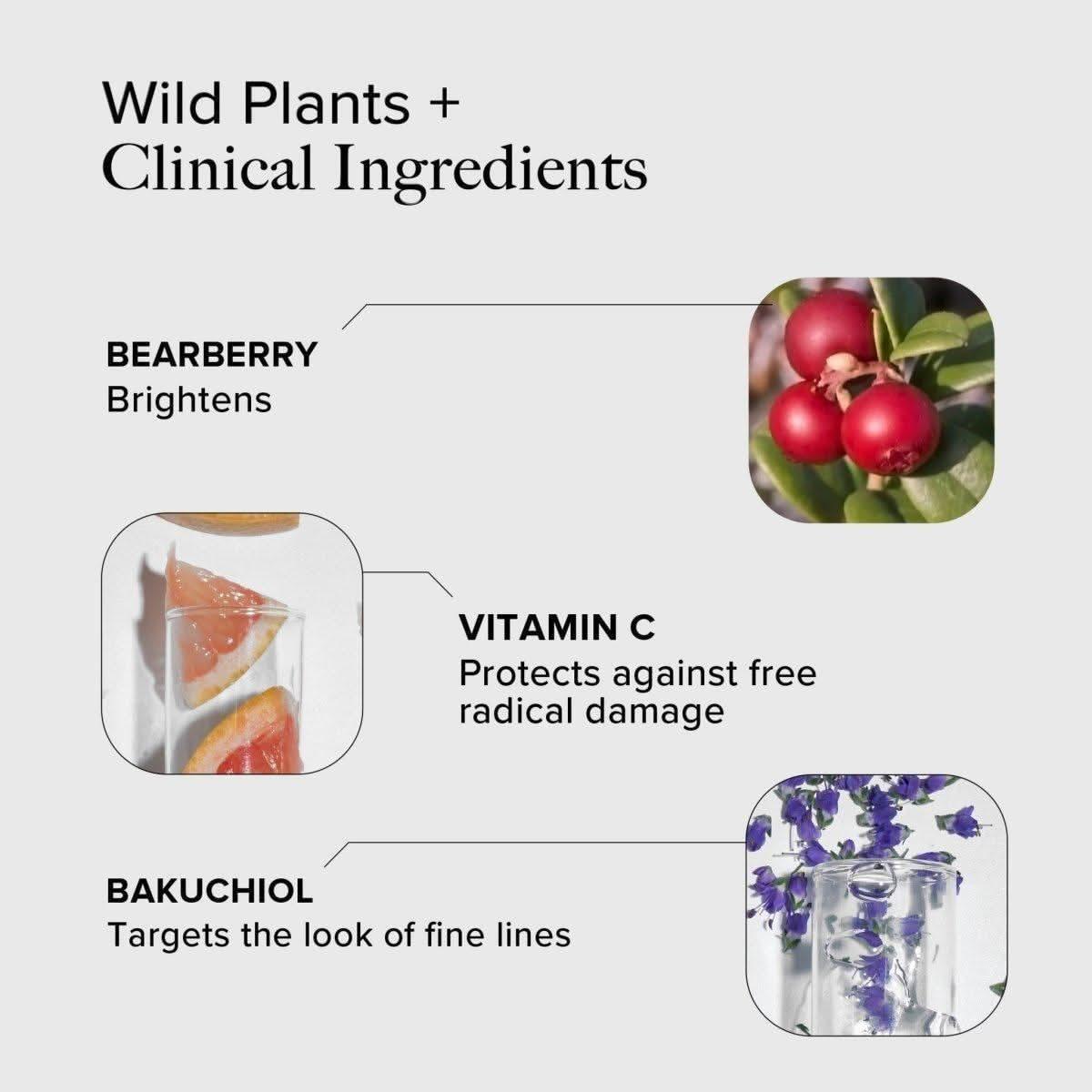 Alpyn Beauty Bearberry and Vitamin C Glow Serum - 50ml - Glam Global UKAlpyn Beauty