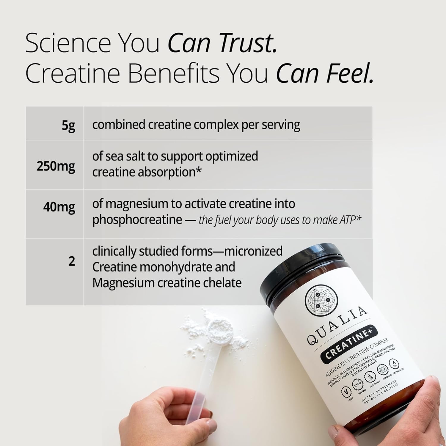 Qualia Creatine | Advanced Creatine Complex | 2 Sources + Magnesium | Optimized Absorption | Muscle Performance, Brain Function, & Healthy Aging