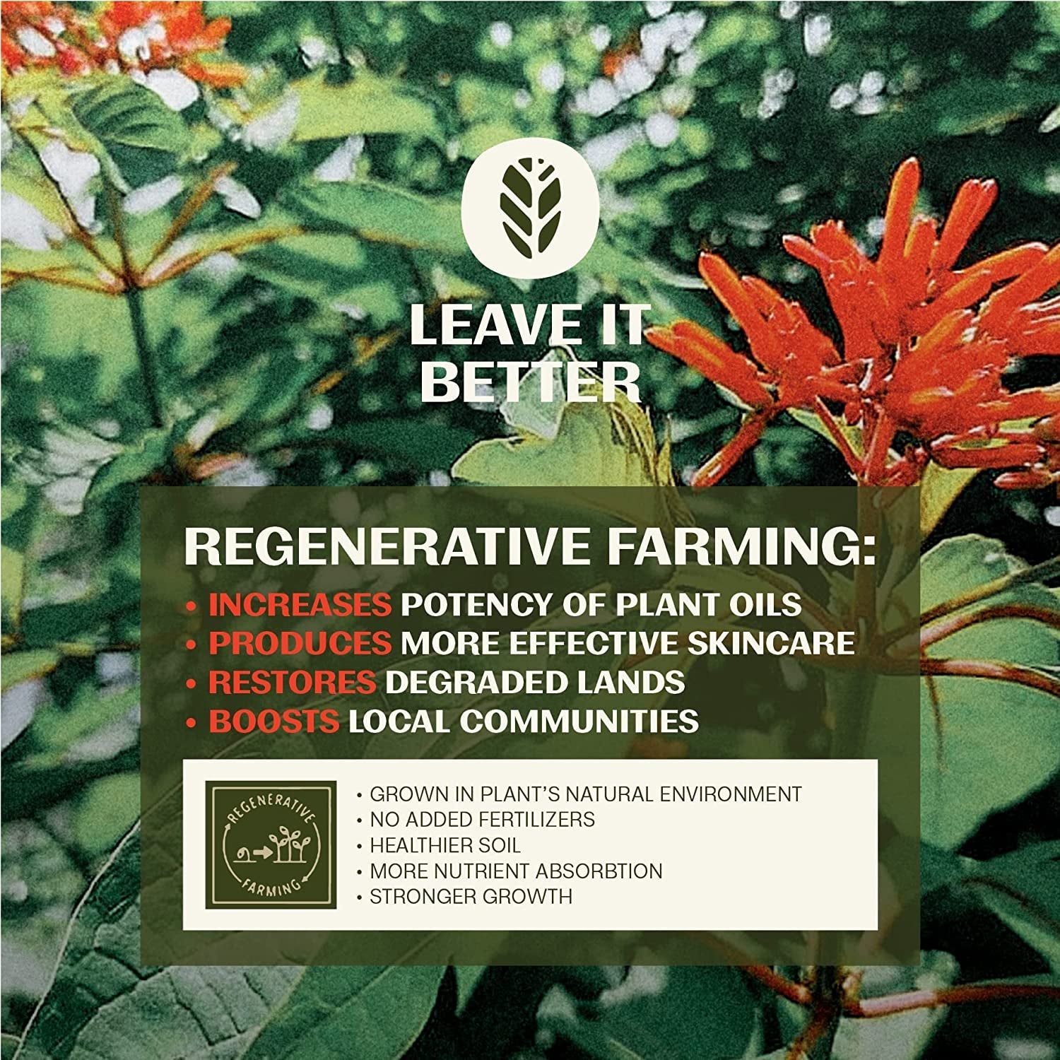 Thrive Natural Care Regenerative Skincare SPF 30 Daily Defense Sunscreen Balm – 60ml | Mineral Moisturizer with Antioxidants & Matte Finish