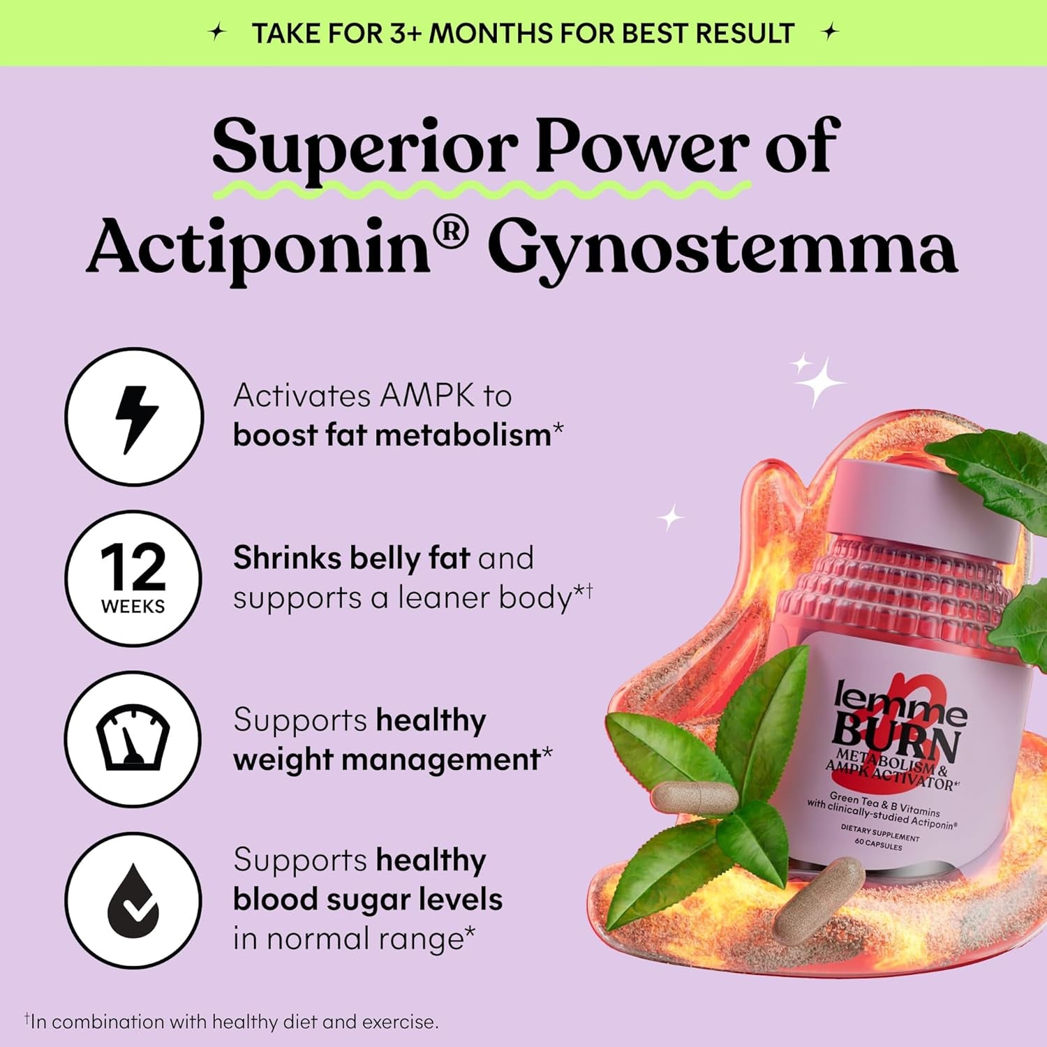 Burn - Metabolism, Belly Fat Burning + AMPK Activating Supplement for Men & Women W/Clinically Studied Actiponin Gynostemma, Green Tea Extract, Vitamins B6 & B12 - Gluten Free, 60 Count