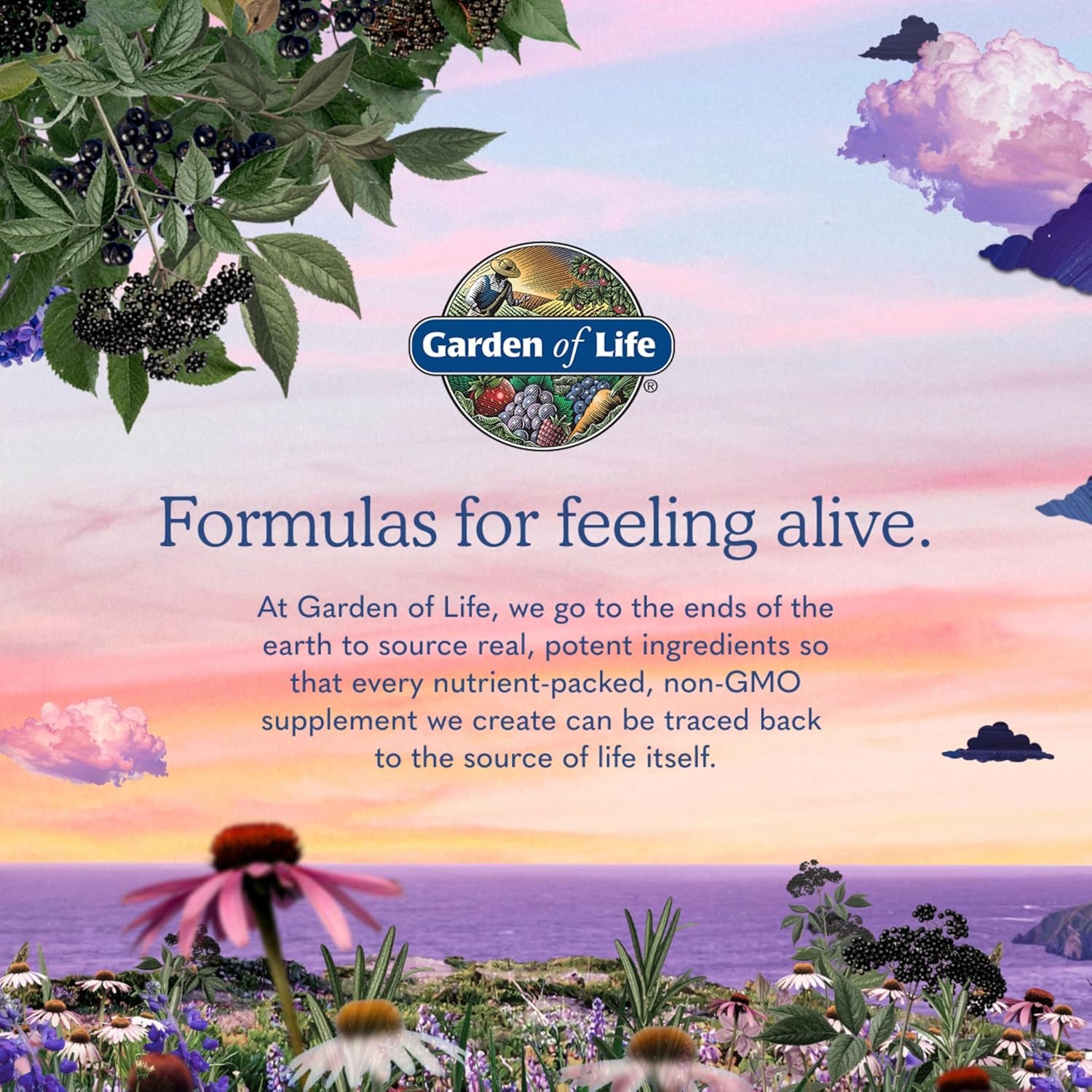 Garden of Life Once Daily Dr. Formulated Probiotics for Women 50 Billion CFU 16 Probiotic Strains with Organic Prebiotics for Digestive, Vaginal & Immune Health, Dairy Free, Shelf Stable 30 Capsules