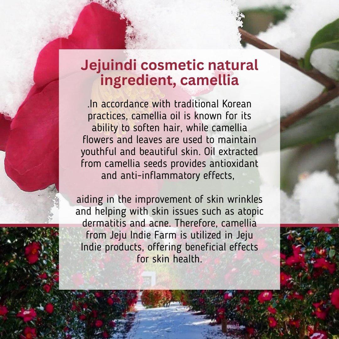 [JEJU INDI] Blossom Sun Cream 50ml - Glam Global UKJEJU INDI